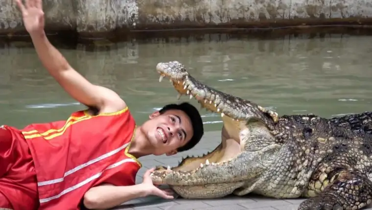 krokodil