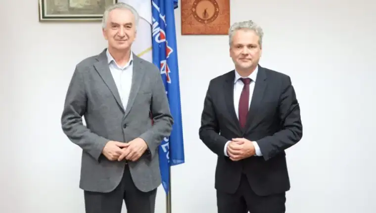 sarovic satler
