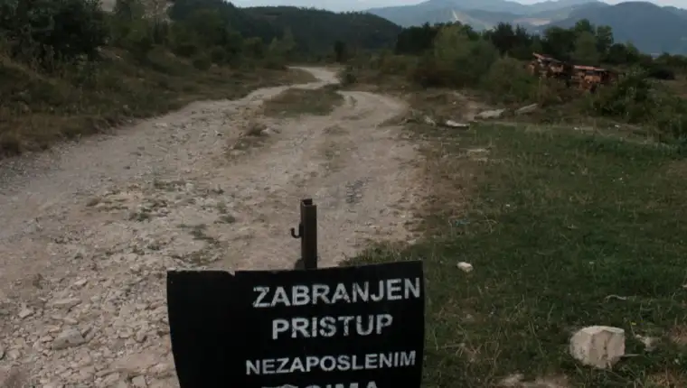 moscanica