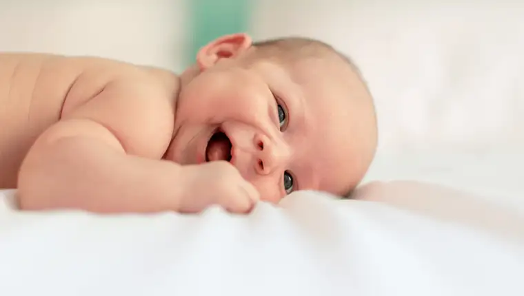 Bebe