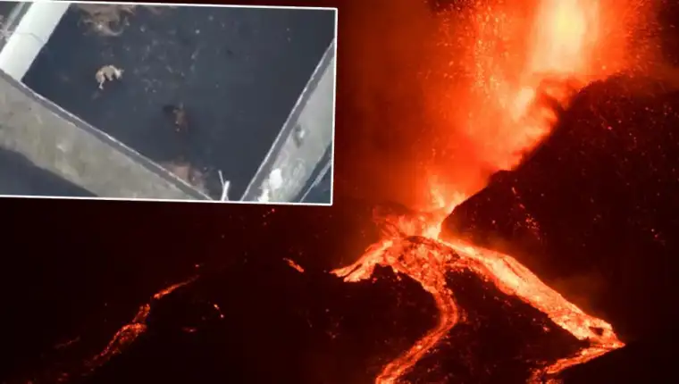 lava psi