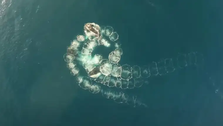 Screenshot_35