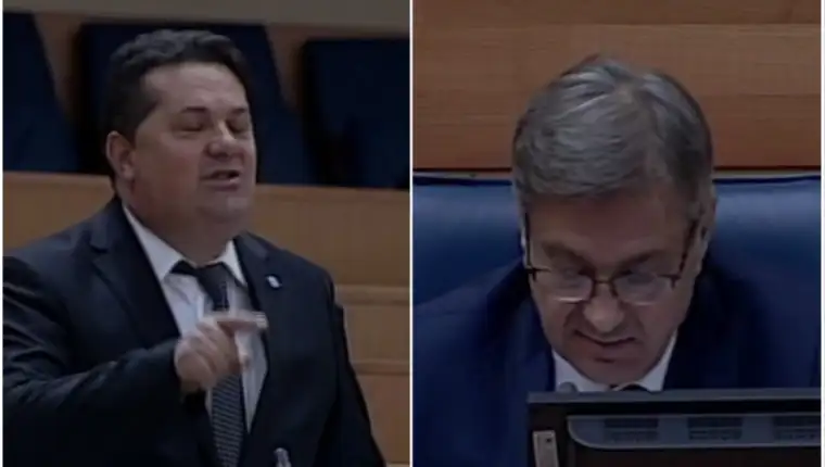 stevandic zvizdic