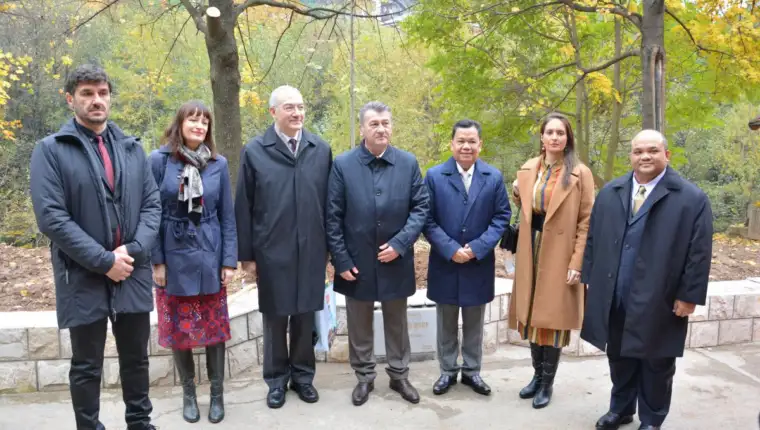 aleja ambasadora