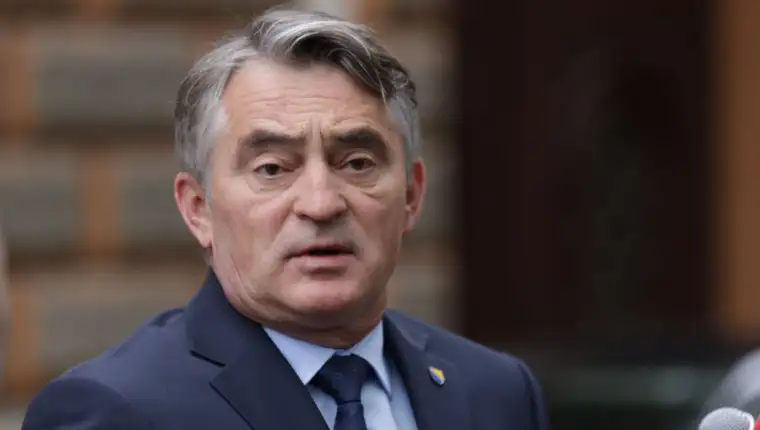zeljko komsic fena1