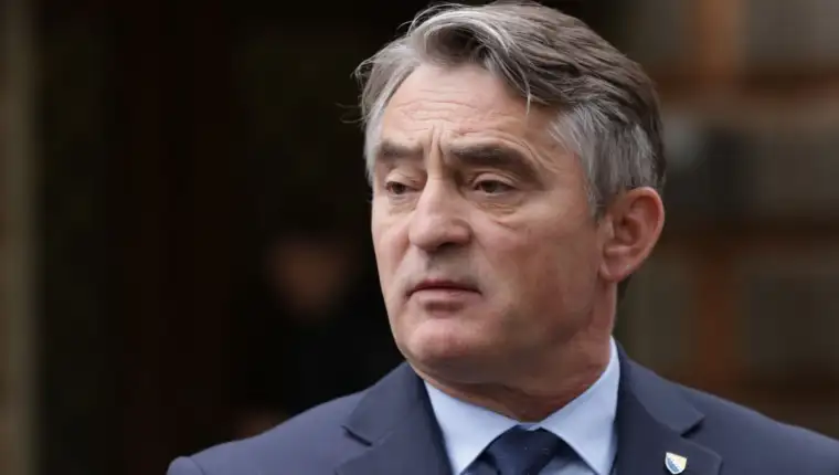 zeljko komsic fena