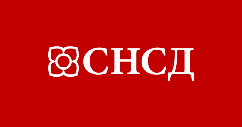 snsd logo