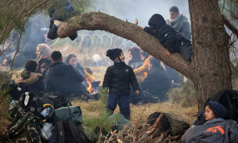 poljska migranti