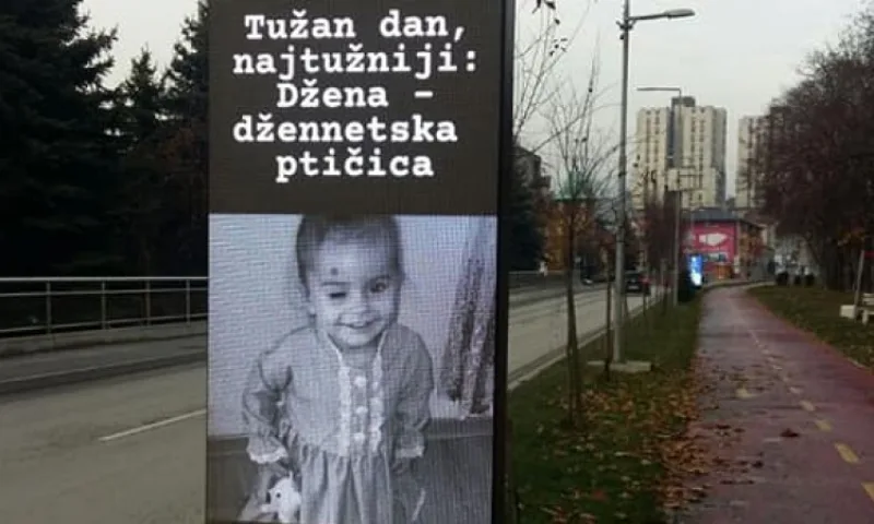 dzena