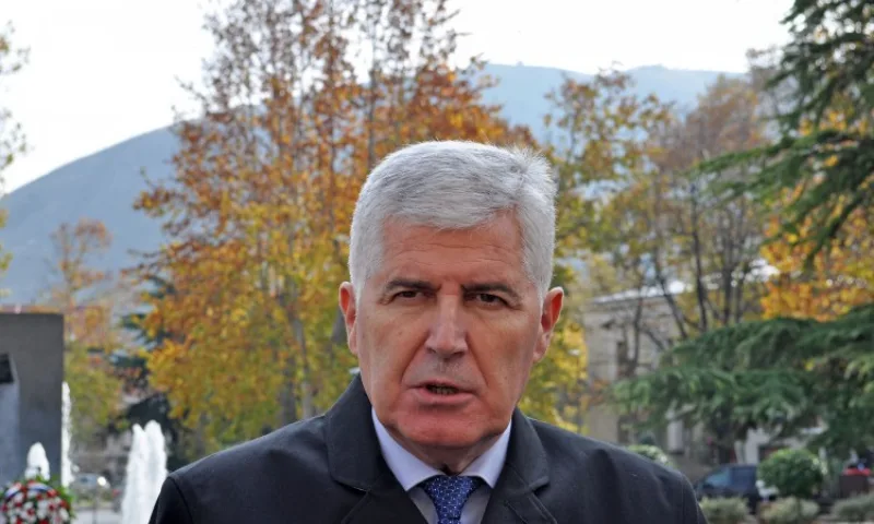 dragan covic2