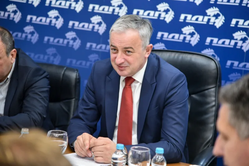 branislav borenovic s