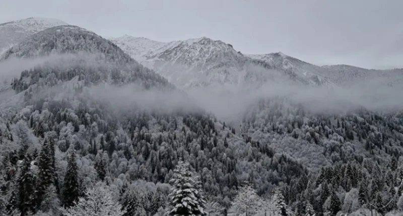 Screenshot_37