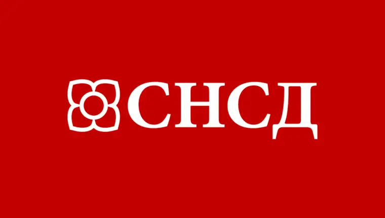 snsd logo