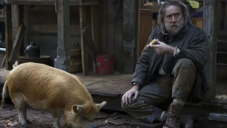 PIG_00303.CR2