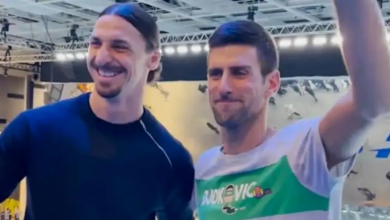 ibra novak