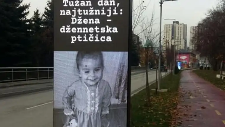 dzena