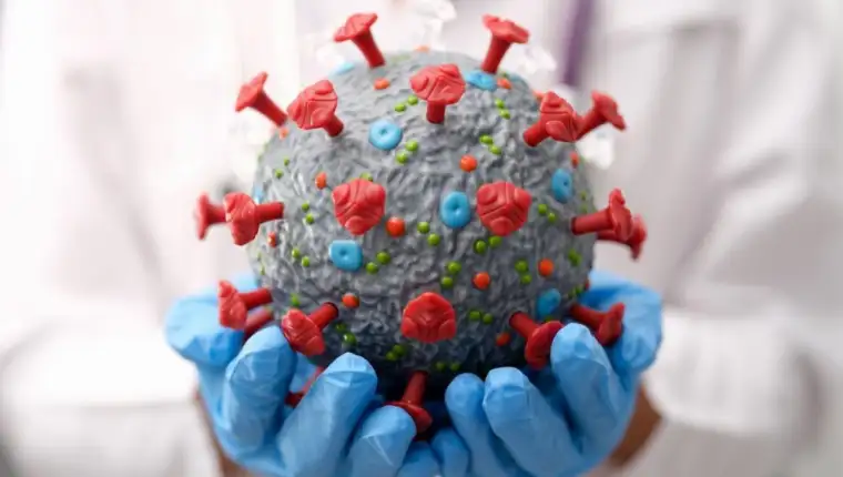 korona 50