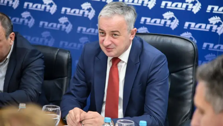 branislav borenovic s