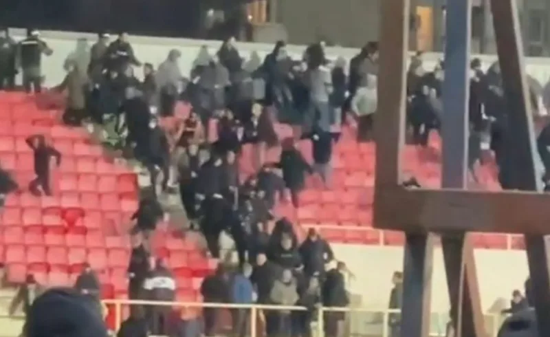 grobari tuca 1