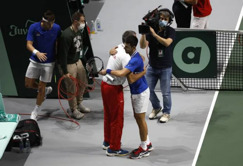 nole cestitike