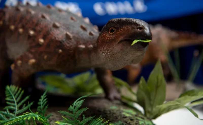dinosaur