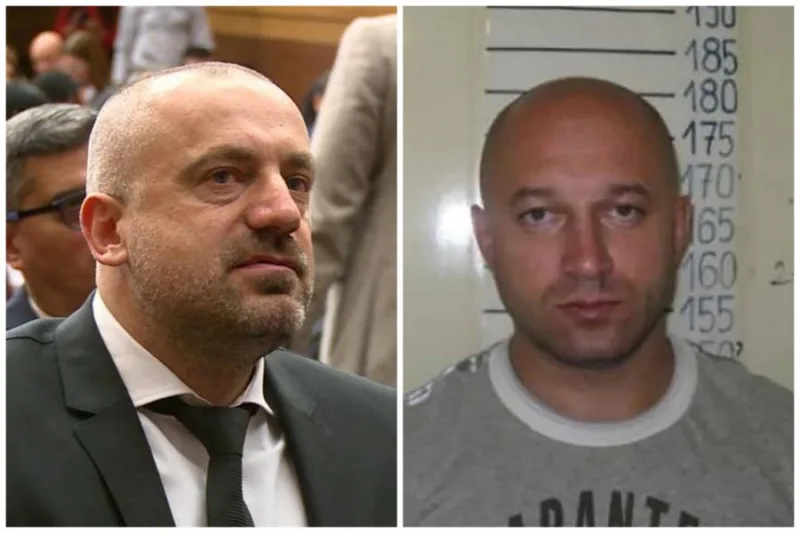 radoicic veselinovic