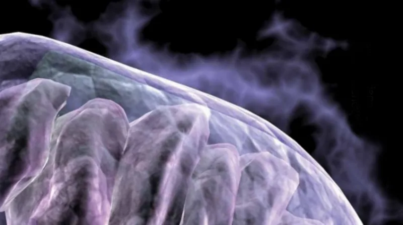 Screenshot_21