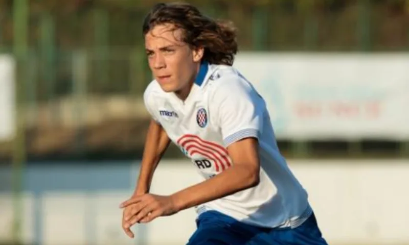 brkljaca 1