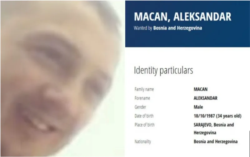 macan potjernica d