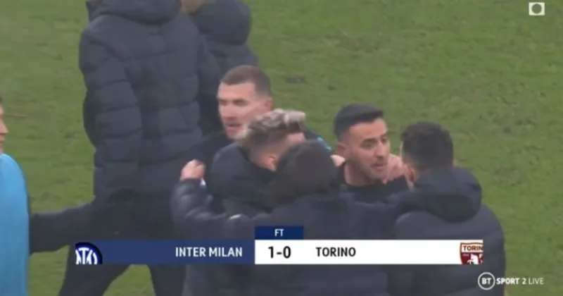 tuca inter dzeko