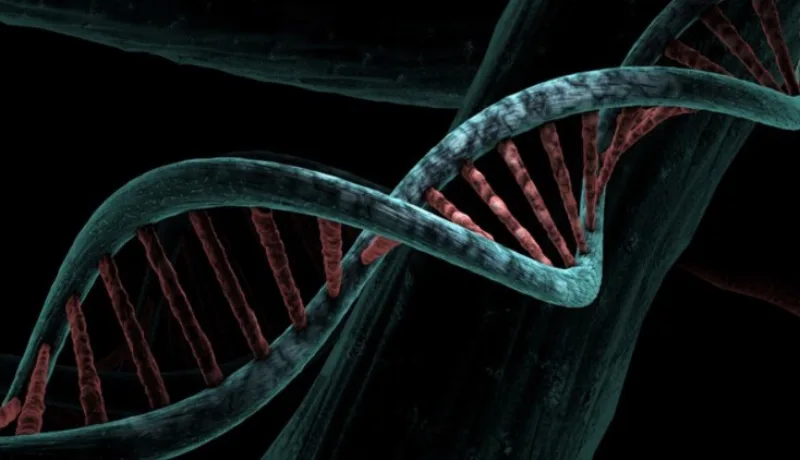 Screenshot_27