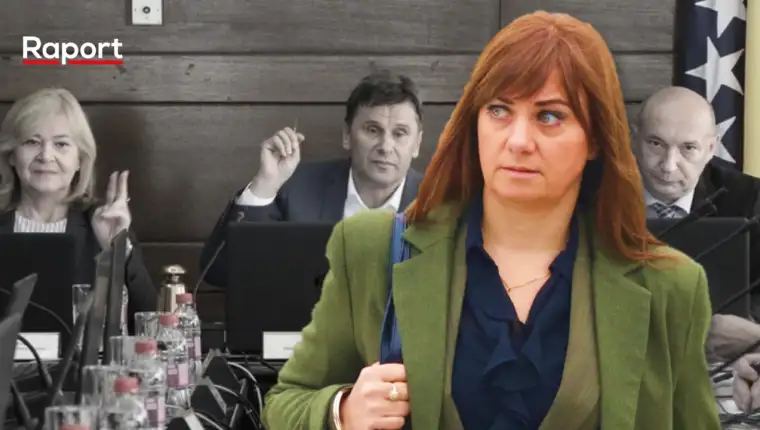 kalajdzic vlada novalic