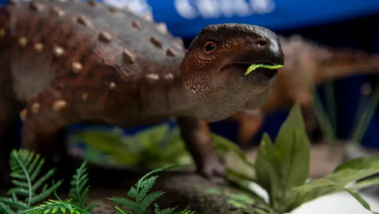 dinosaur