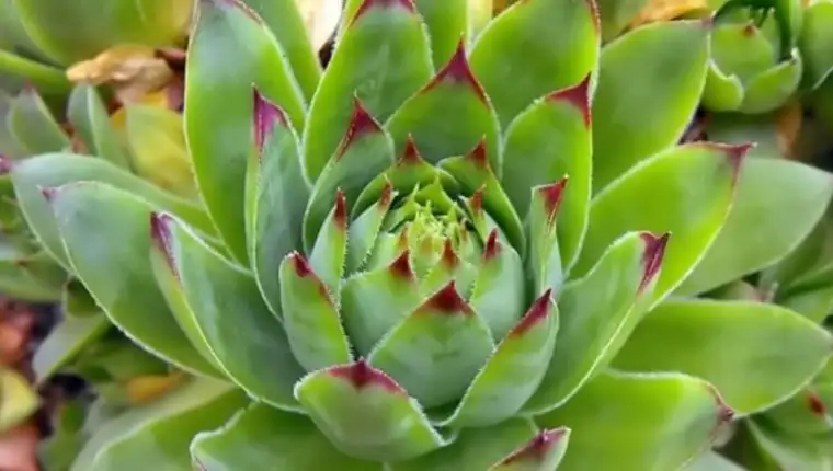 Screenshot_31
