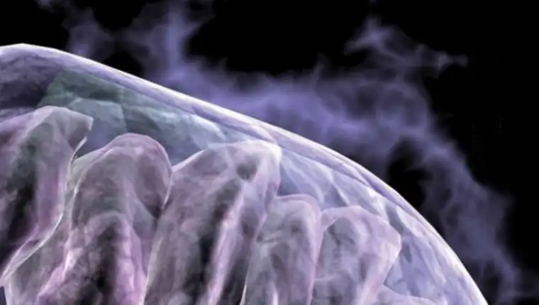 Screenshot_21