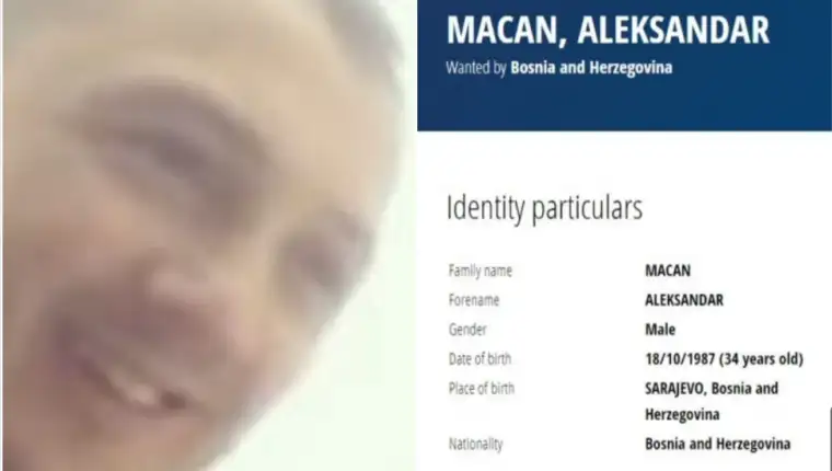 macan potjernica d