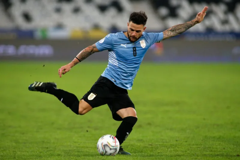 nandez