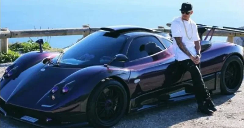 hamilton pagani