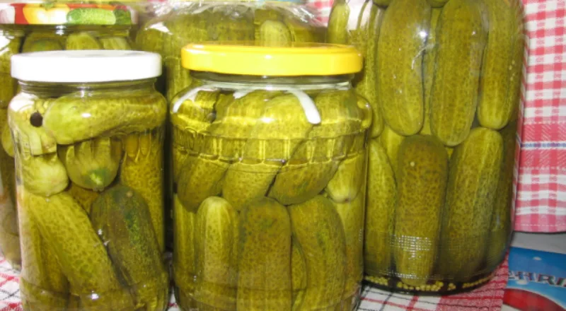 krastavci kiseli 1