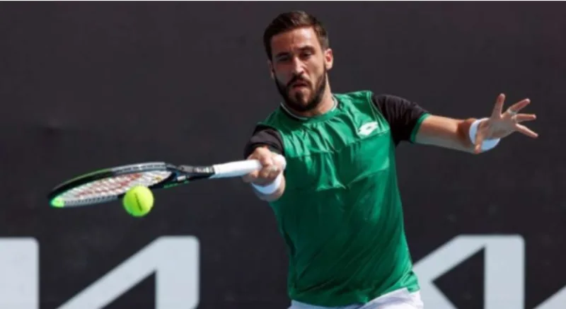 dzumhur 6
