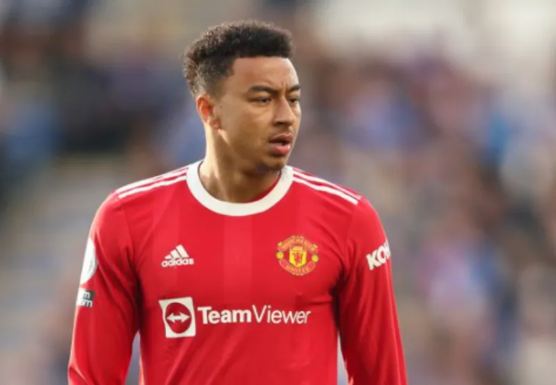 lingaard 1