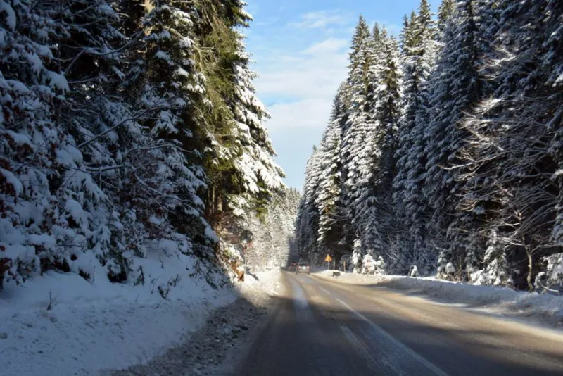 planina