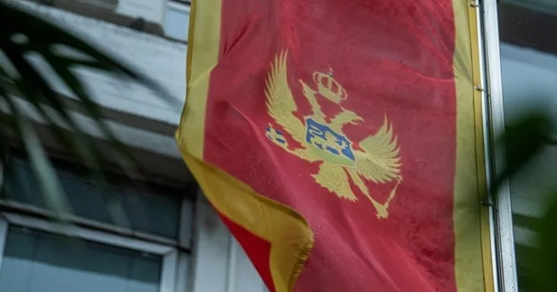 crna gora zastava 42