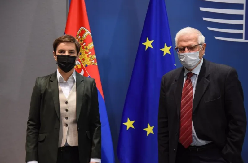 brnabic borrell