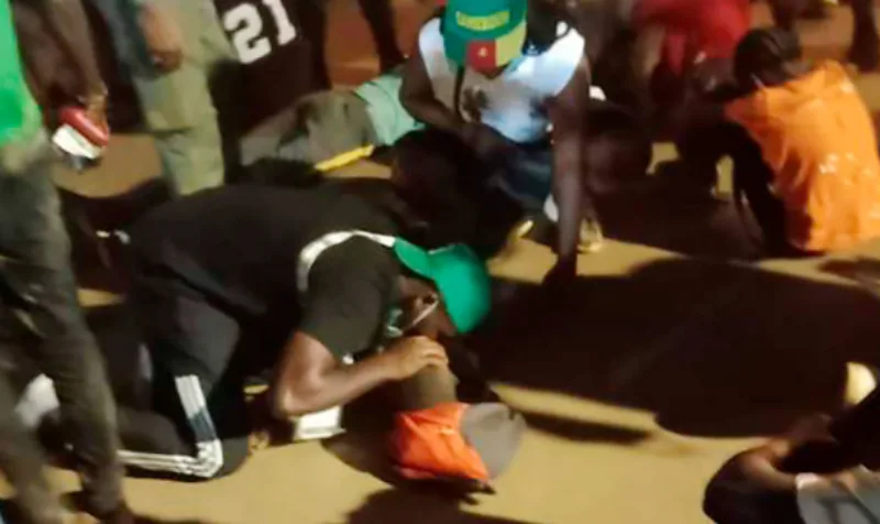 kamerun stampedo 1