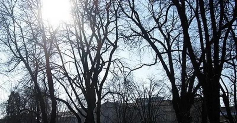 Screenshot_43
