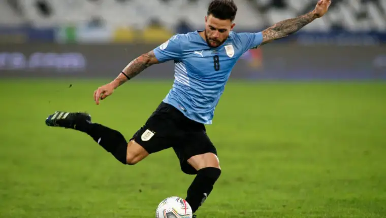 nandez
