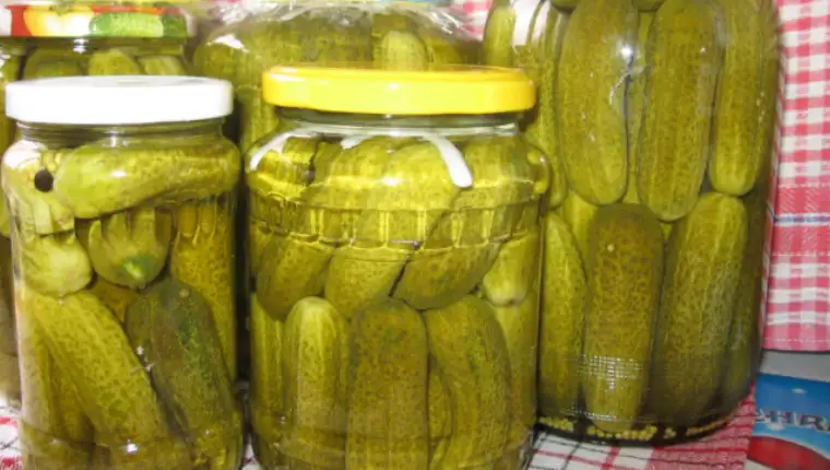 krastavci kiseli 1