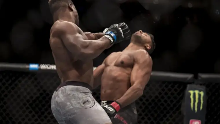 nohaut UFC