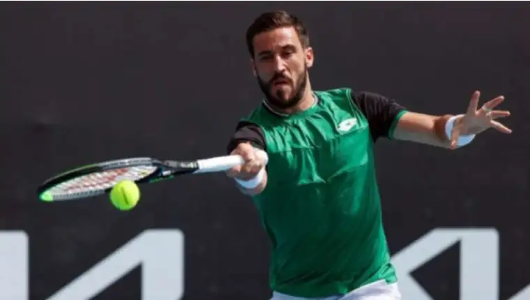 dzumhur 6
